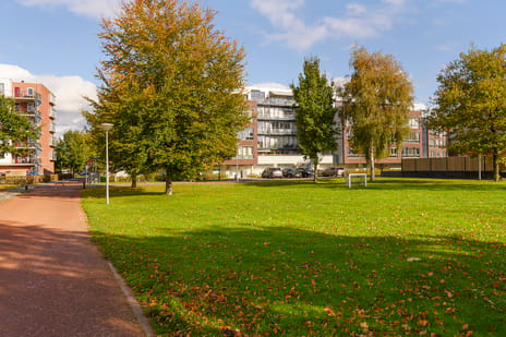Oldenallerhout thumbnail