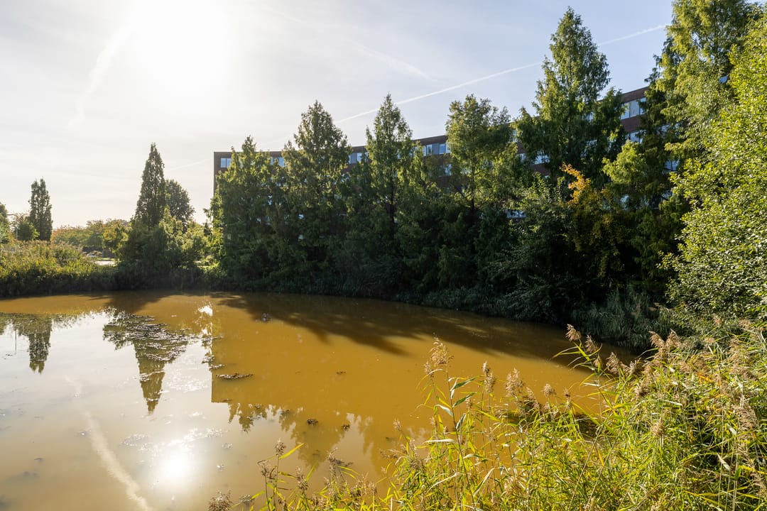 Photo 46 of Oldenallerhout 70