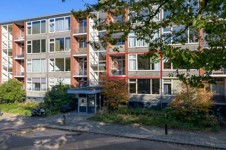 Photo 5 of Tjonger 22