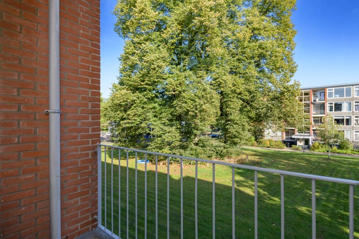 Photo 4 of Tjonger 22