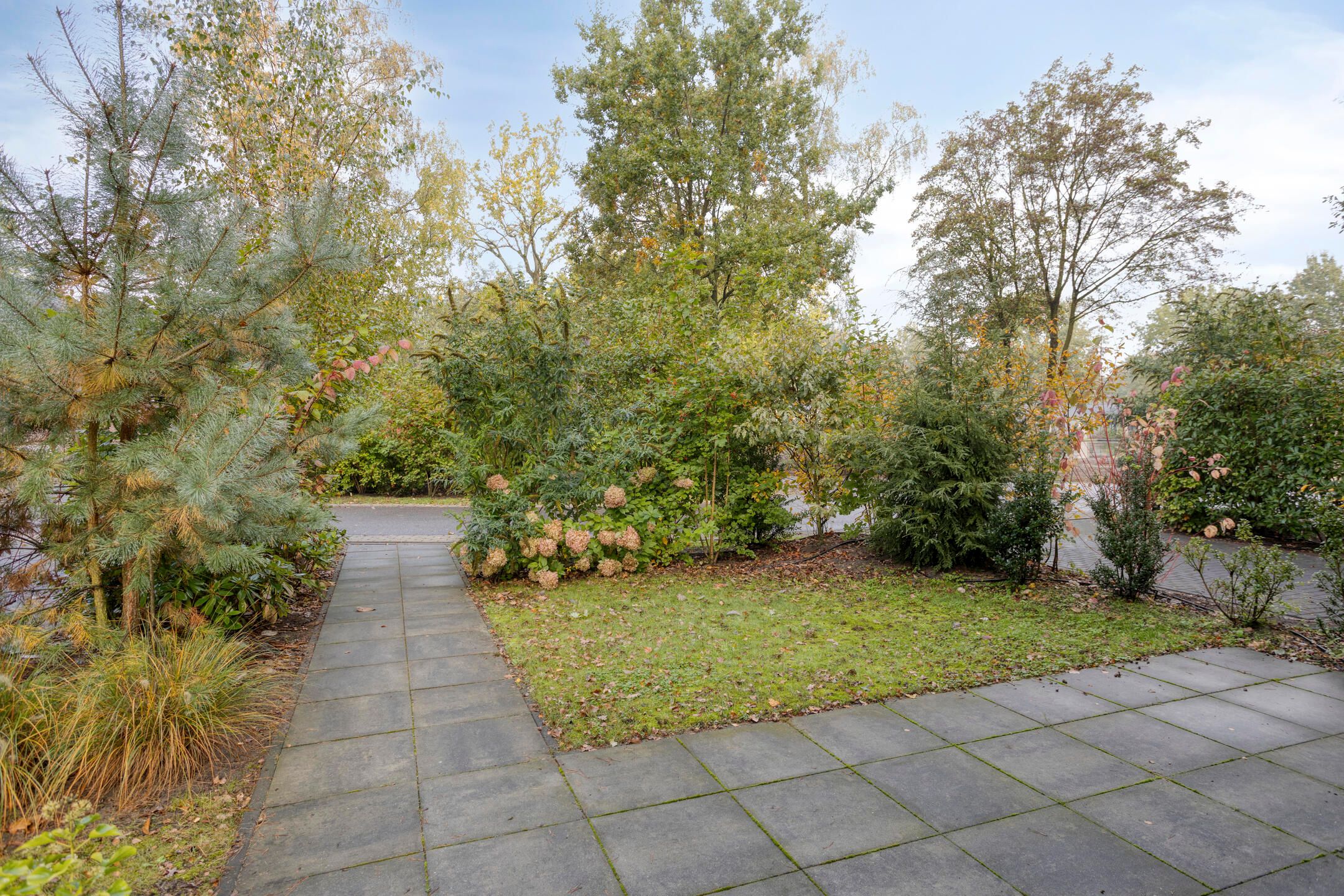 Photo 21 of Bloemendaal 7-C40