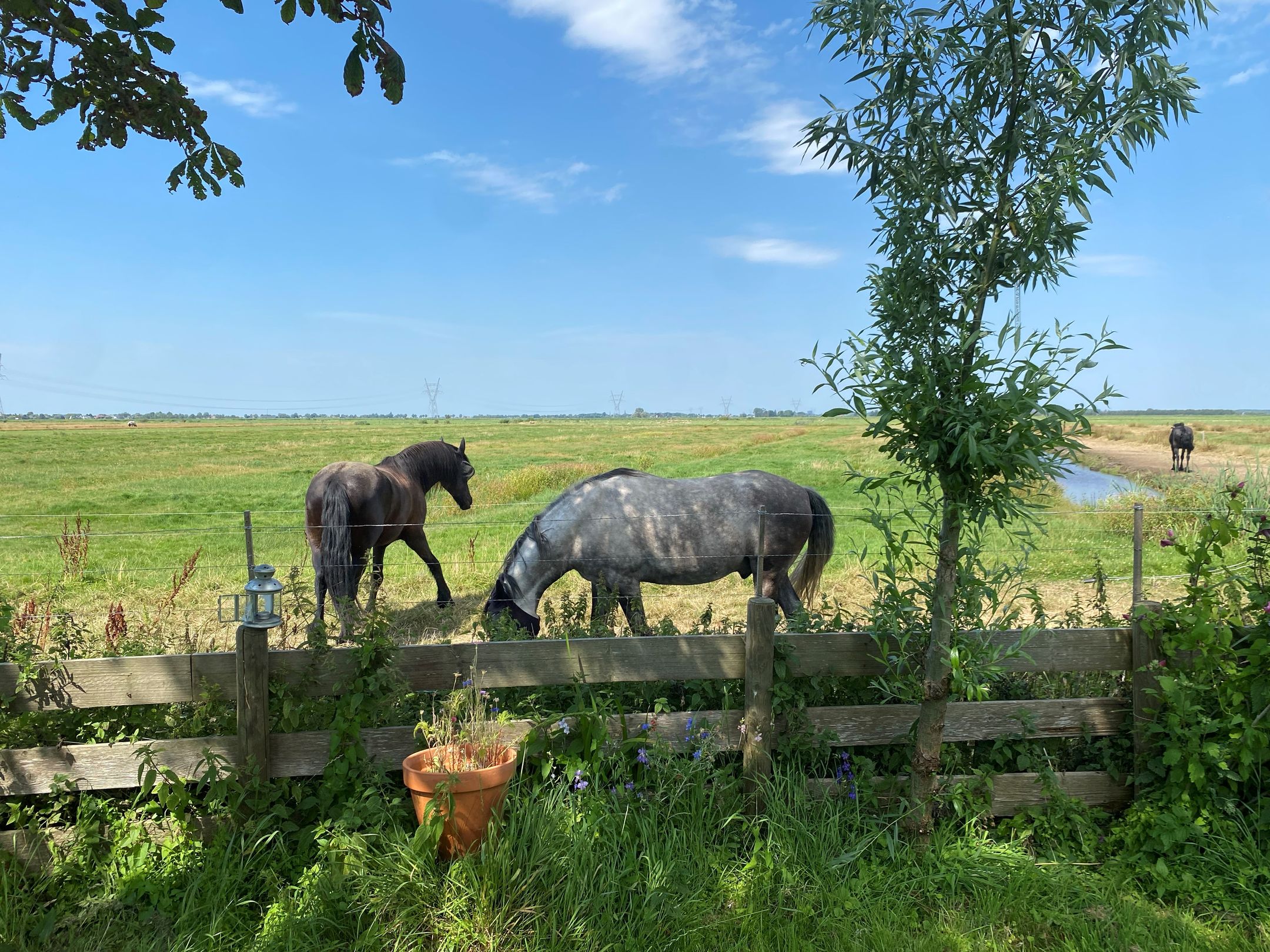 Photo 45 of Broekermeerdijk 27-WS
