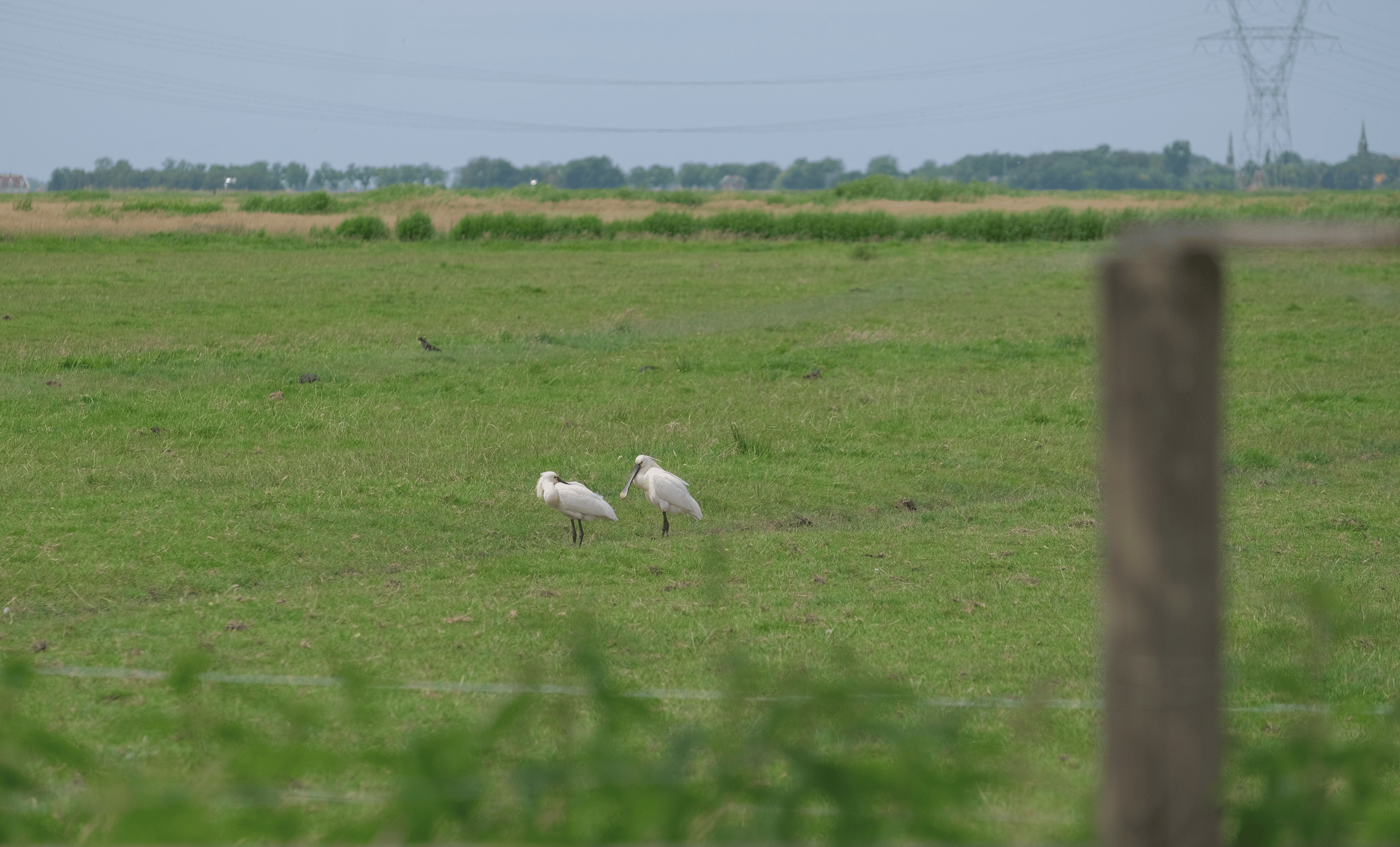 Photo 42 of Broekermeerdijk 27-WS