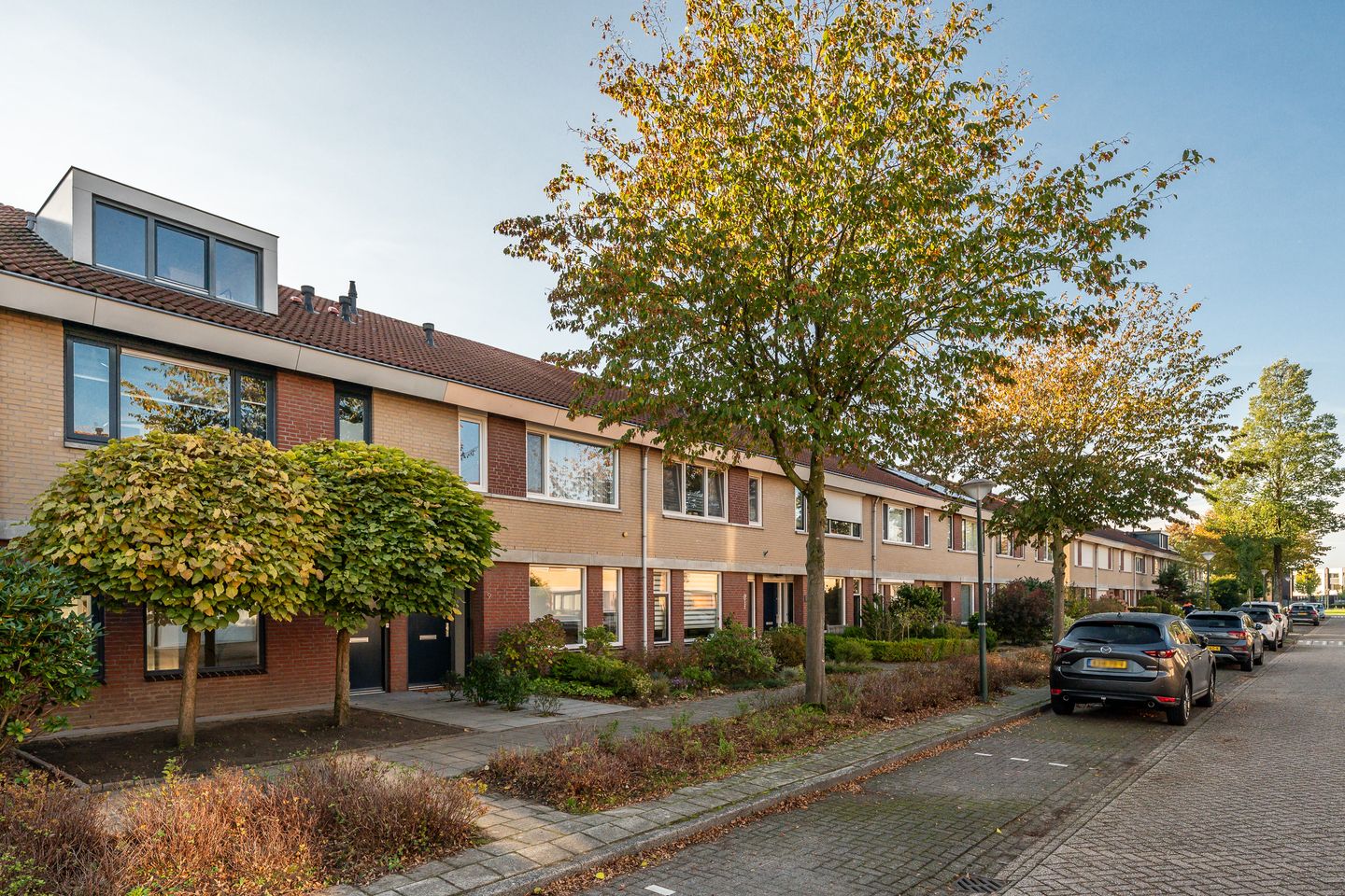 Foto 5 van Elrond 7