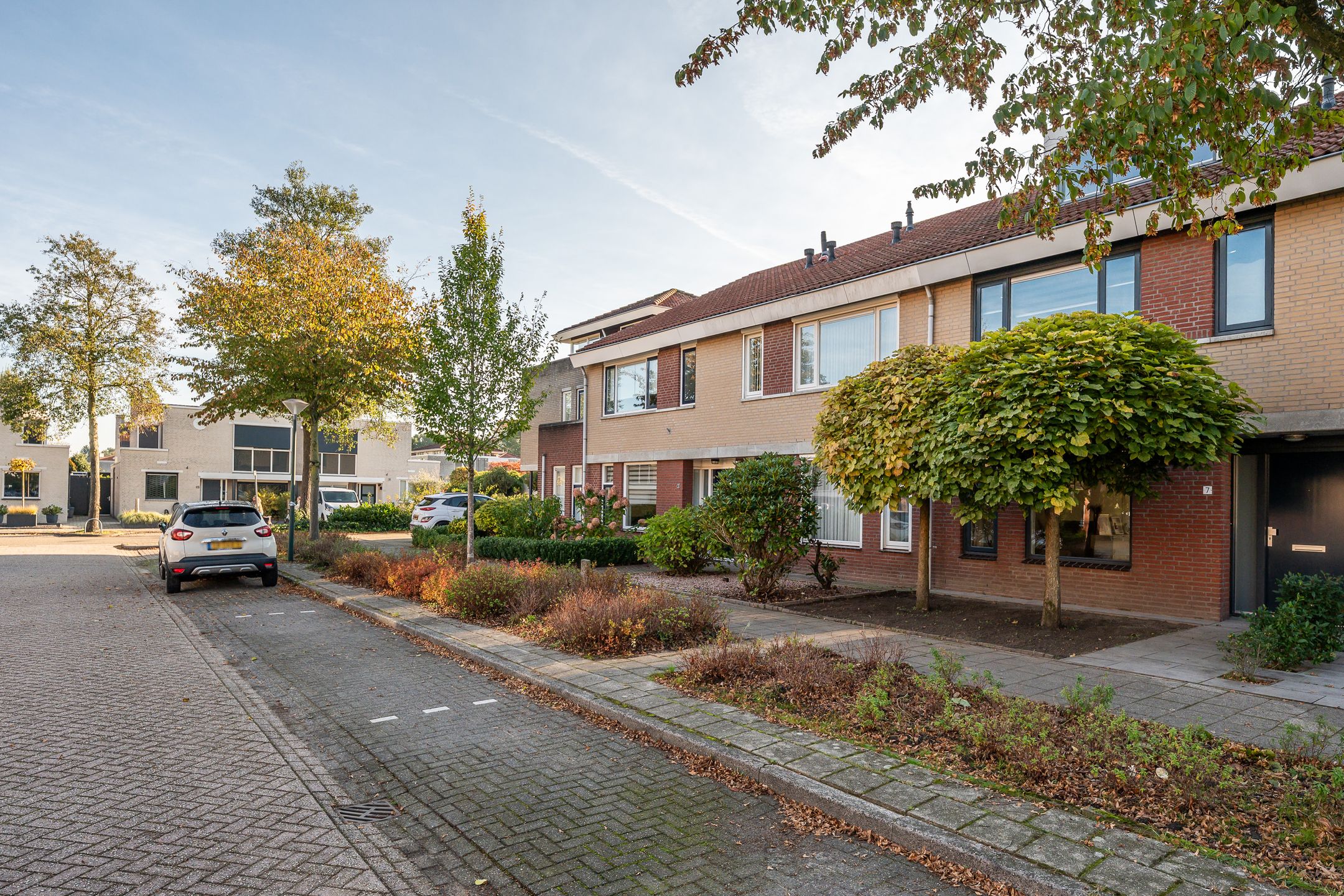 Foto 6 van Elrond 7