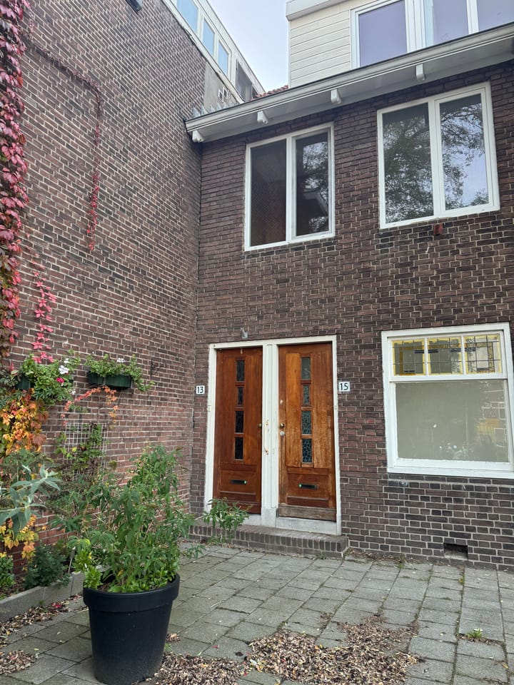 Foto 2 van Terpstraat 13
