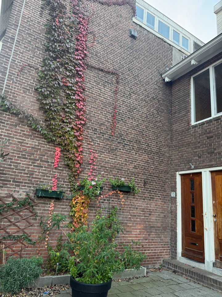 Foto 4 van Terpstraat 13