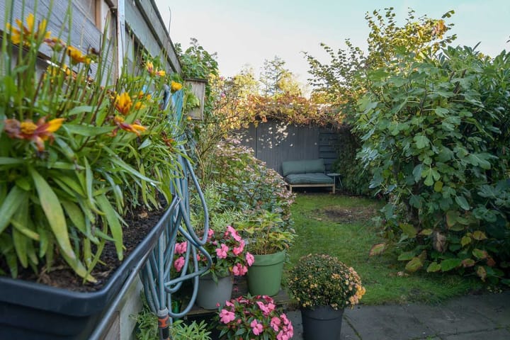 Foto 4 van Houtlaan 37