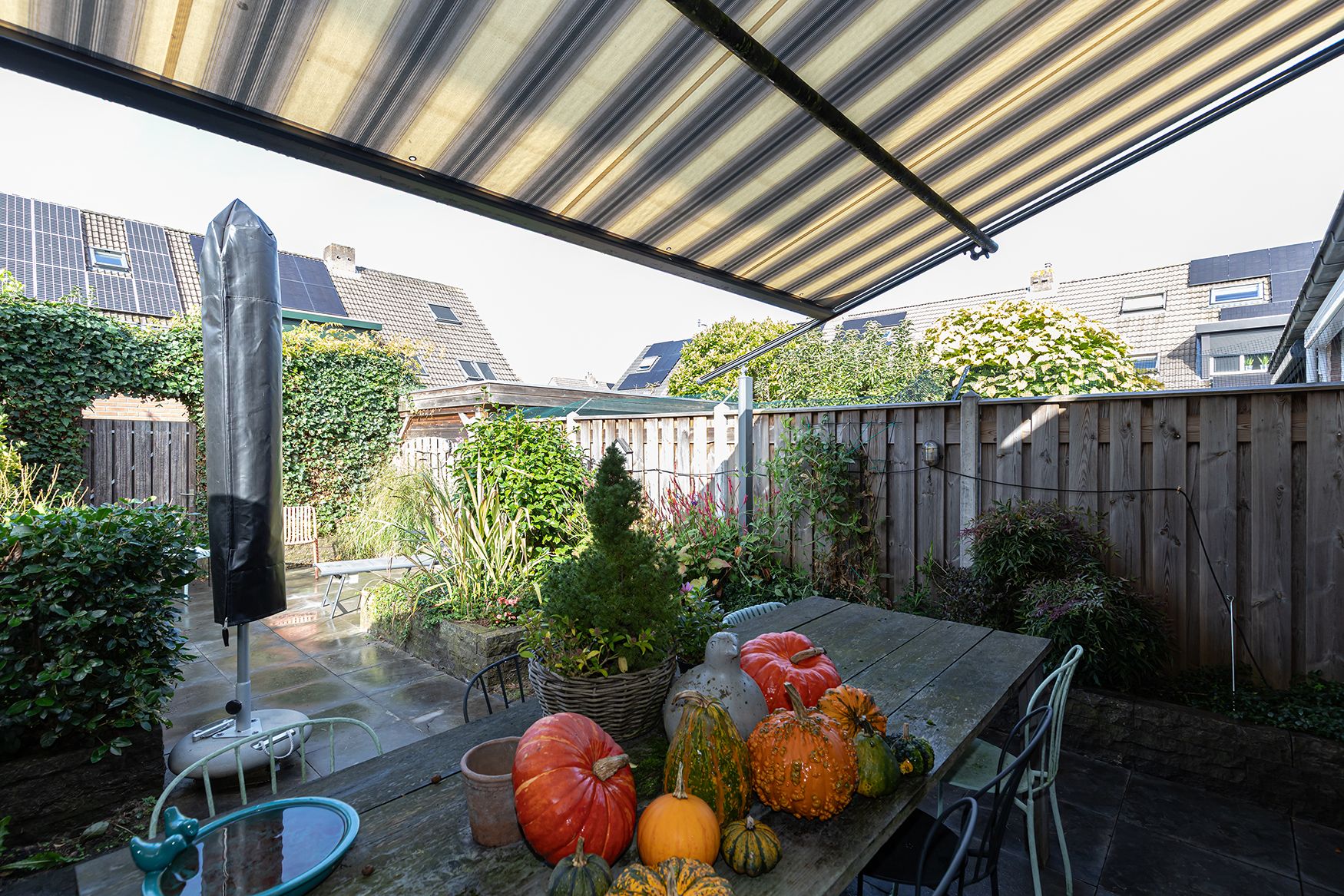 Photo 21 of Haagbeukhof 175