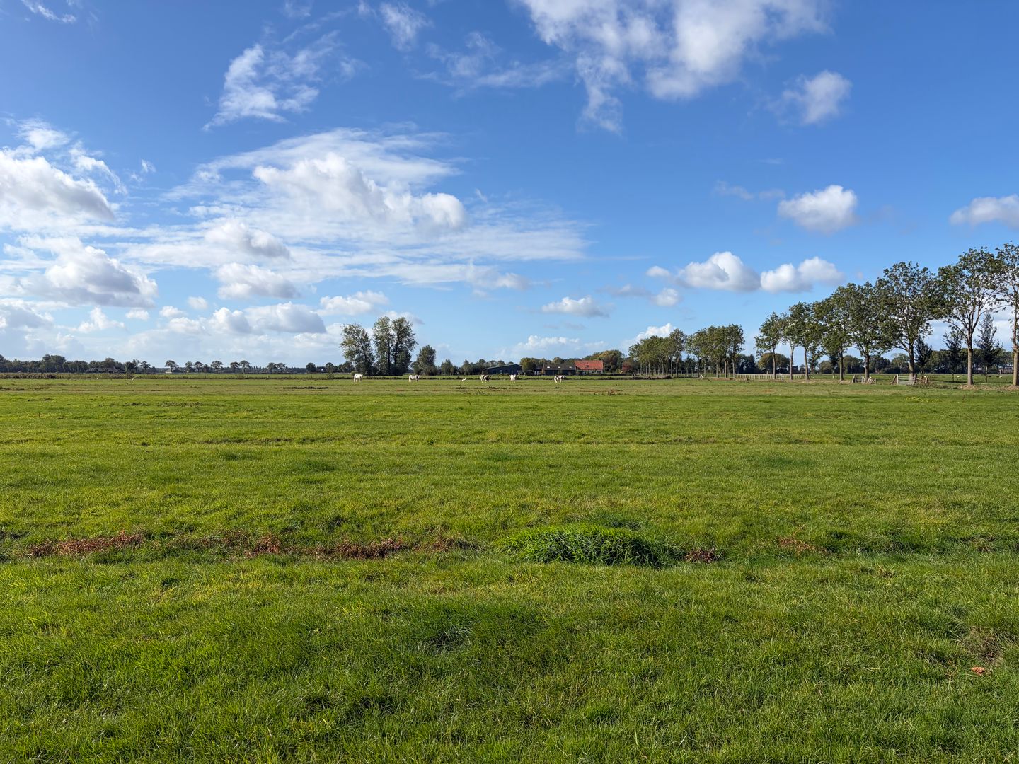 De Steeg - Ingen - Afbeelding 7