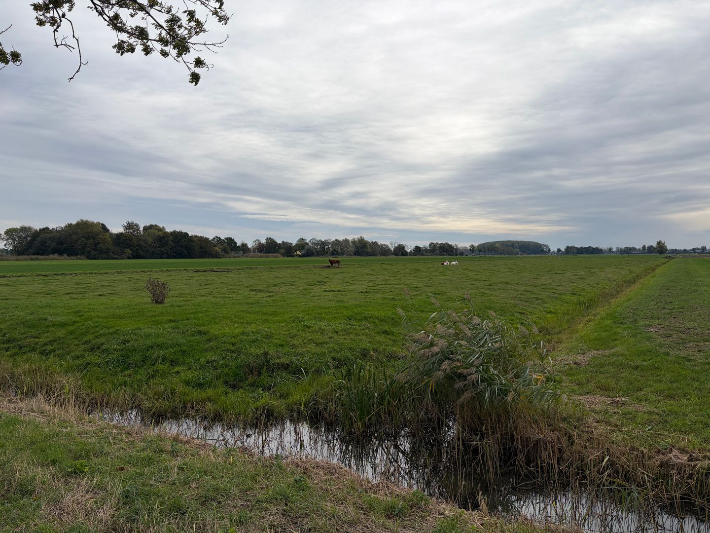 De Steeg - Ingen - Afbeelding 7