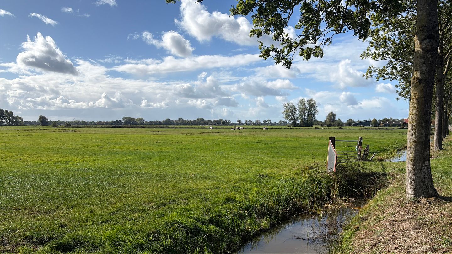 De Steeg - Ingen - Afbeelding 6