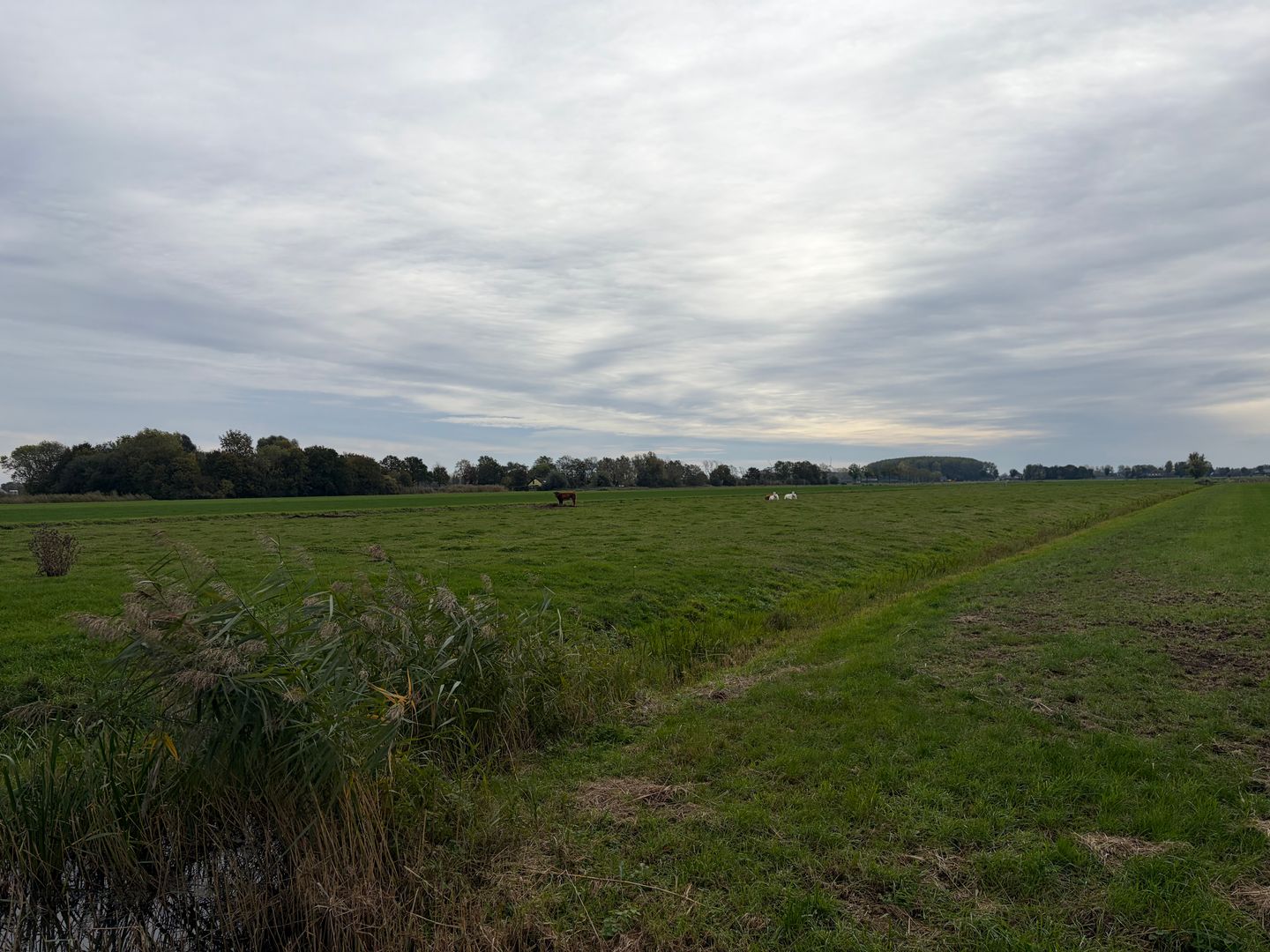 De Steeg - Ingen - Afbeelding 6