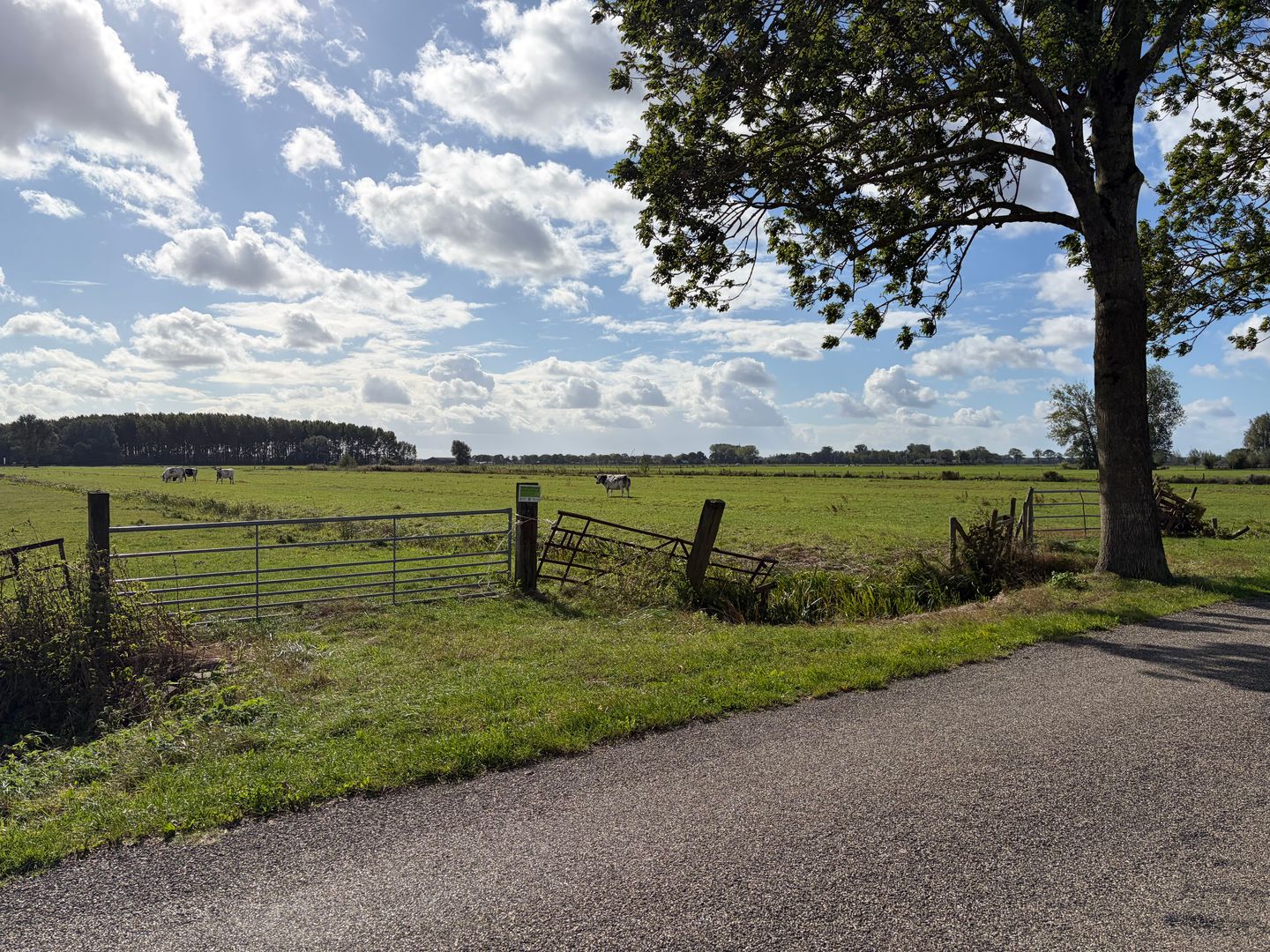 De Steeg - Ingen - Afbeelding 4