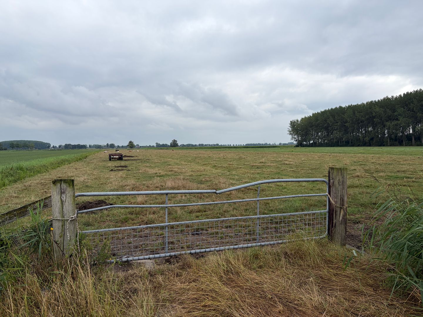 De Steeg - Ingen - Afbeelding 4