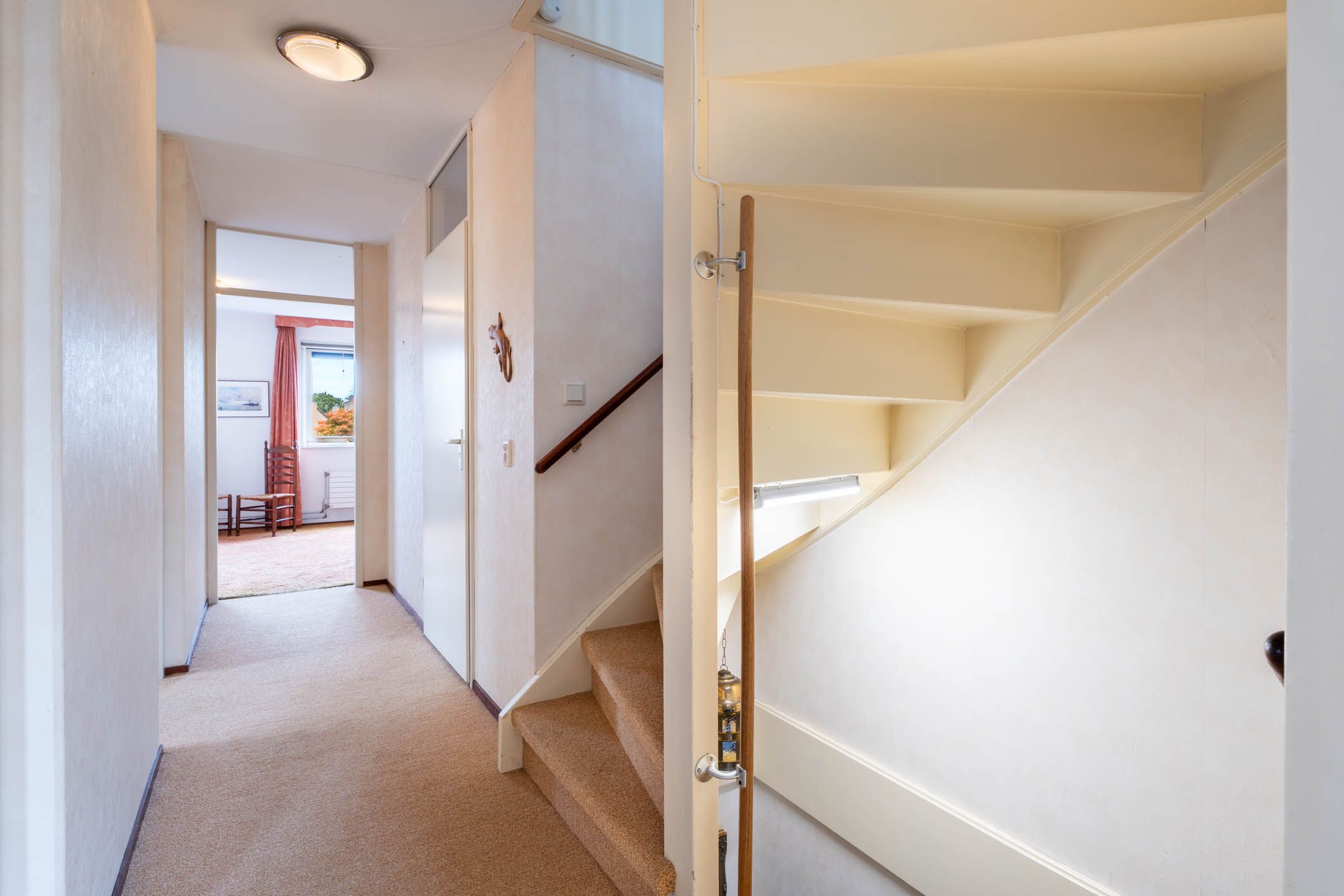 Photo 15 of Nieuw Putoor 12