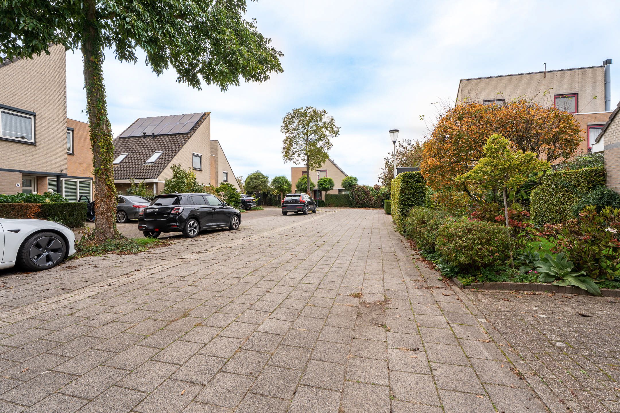 Photo 36 of Nieuw Putoor 12