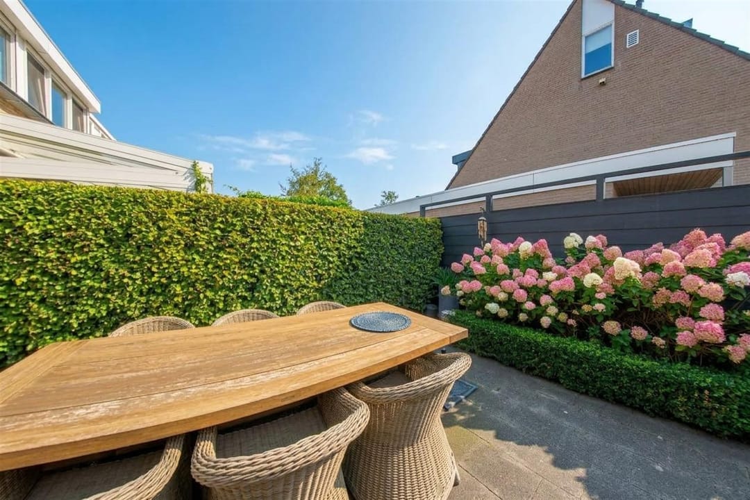 Photo 22 of Kokmeeuw 21