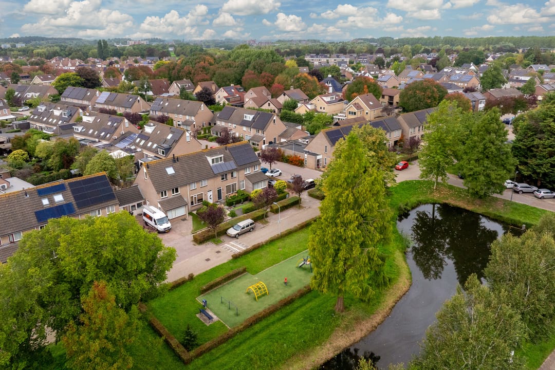 Photo 38 of Kokmeeuw 21