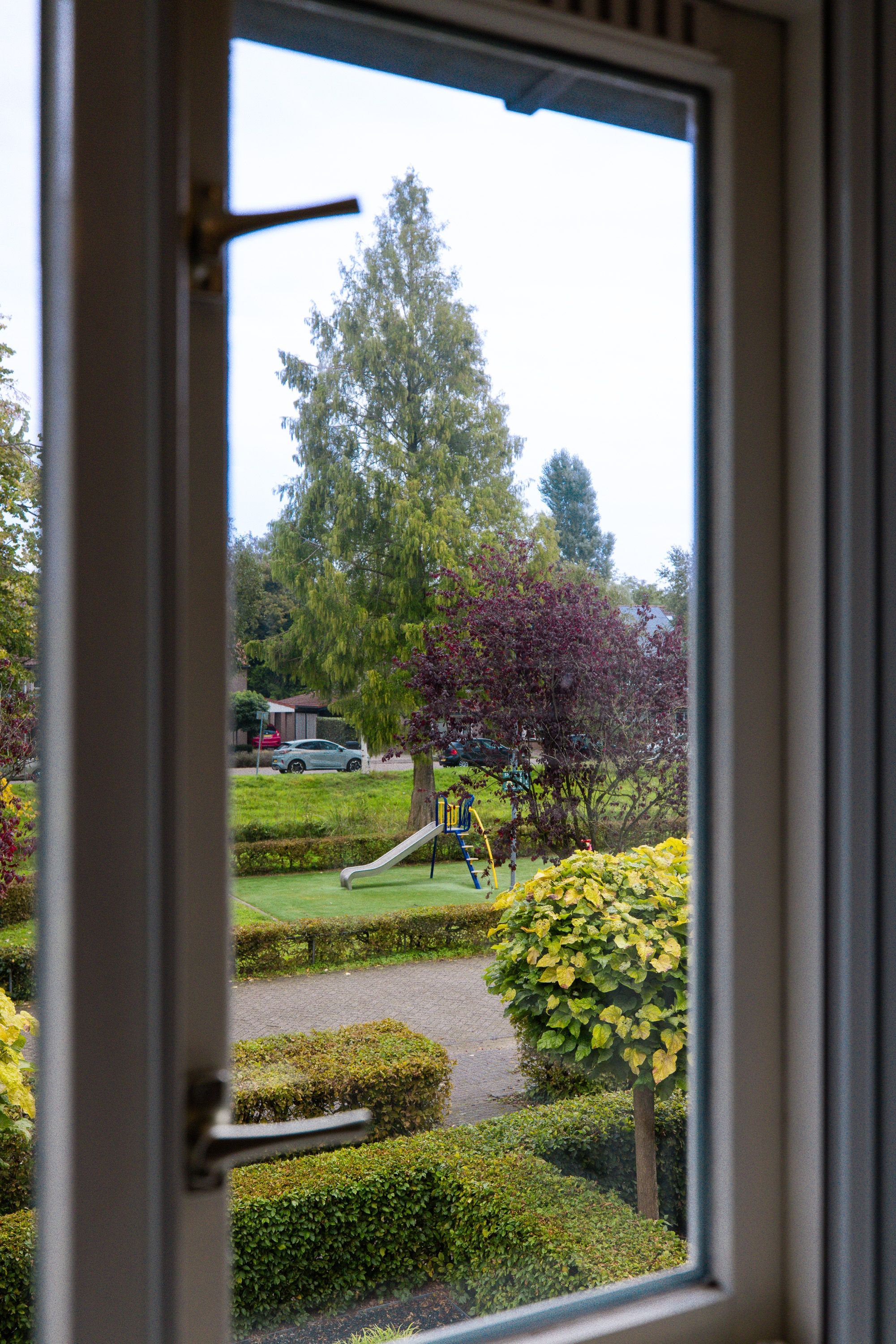 Photo 9 of Kokmeeuw 21