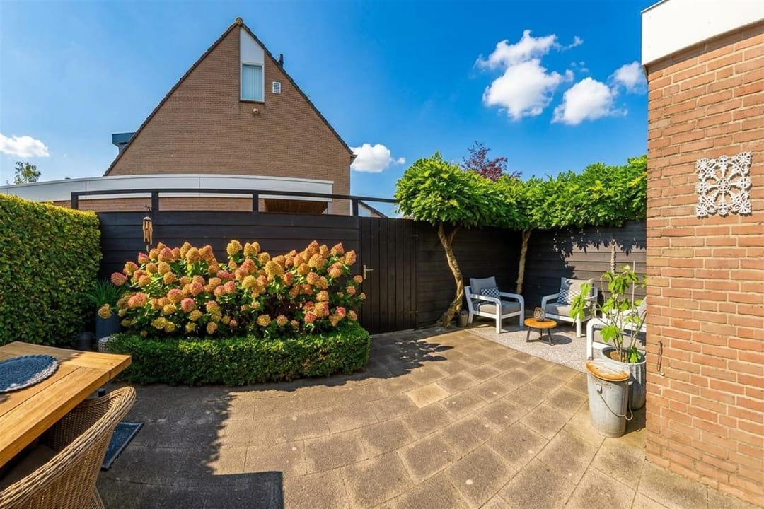 Photo 23 of Kokmeeuw 21