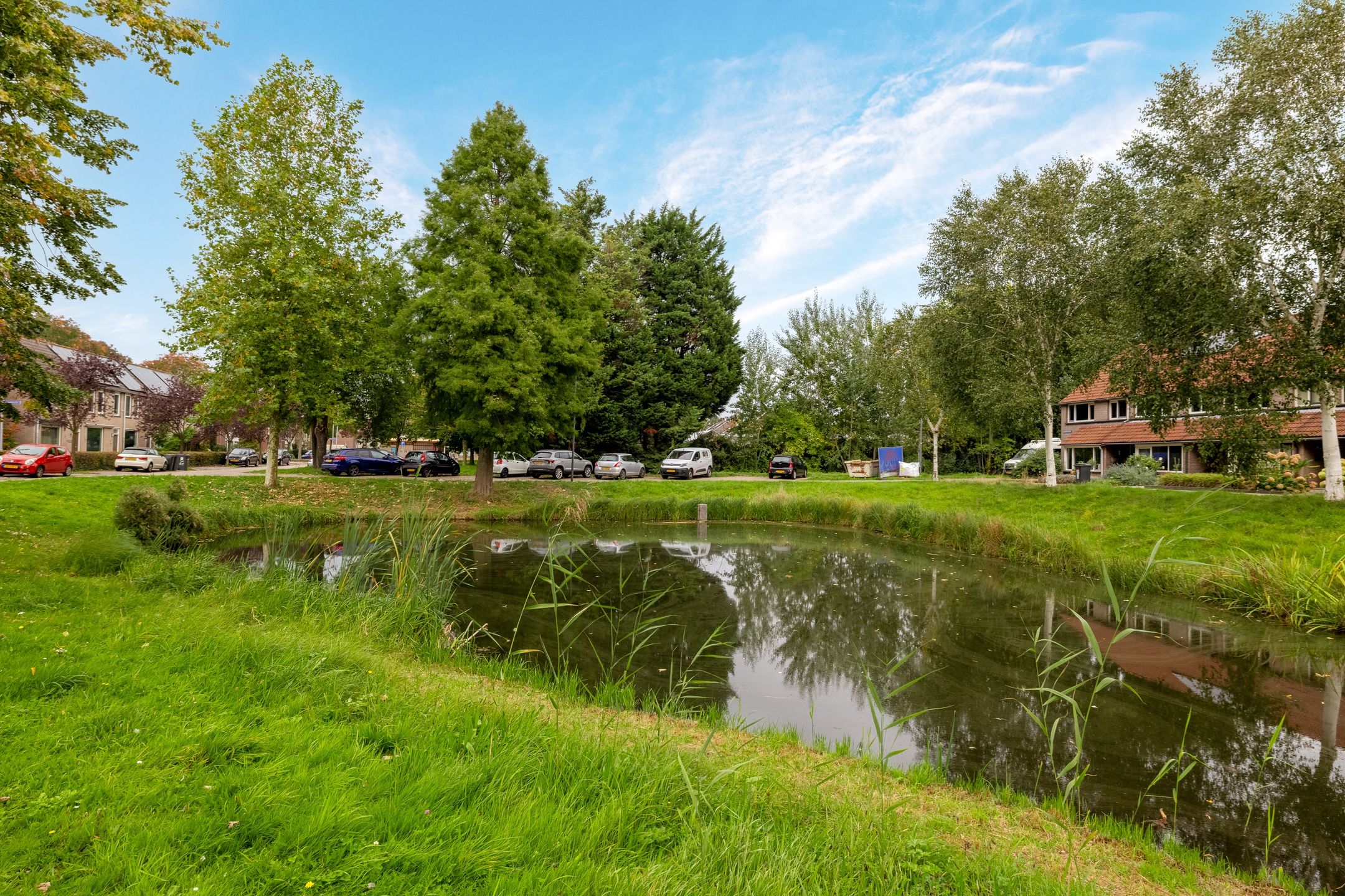 Photo 39 of Kokmeeuw 21