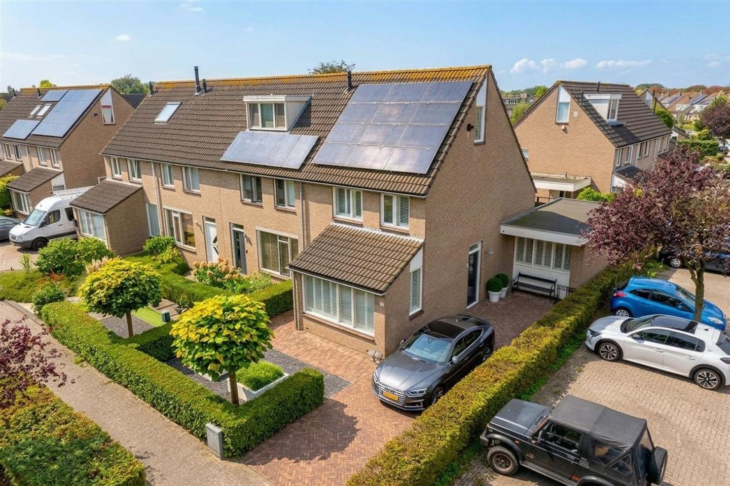 Photo 35 of Kokmeeuw 21