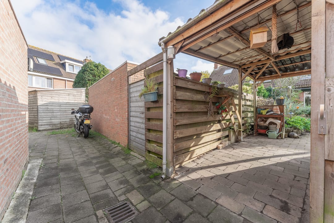 Foto 41 van Rode Paard 28