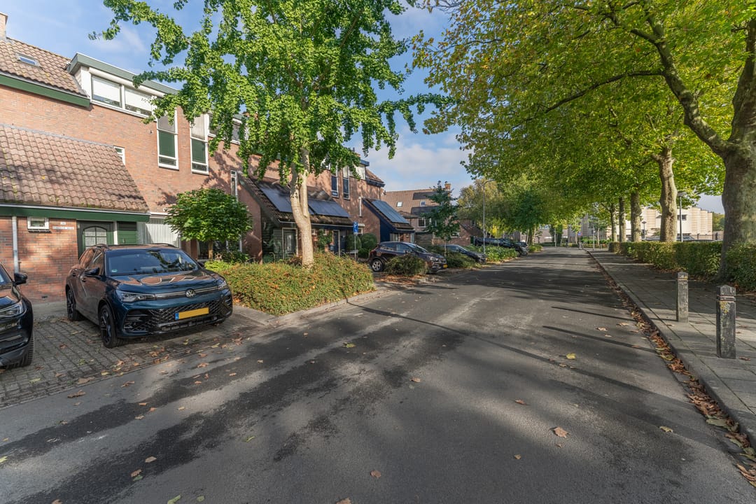 Foto 43 van Rode Paard 28