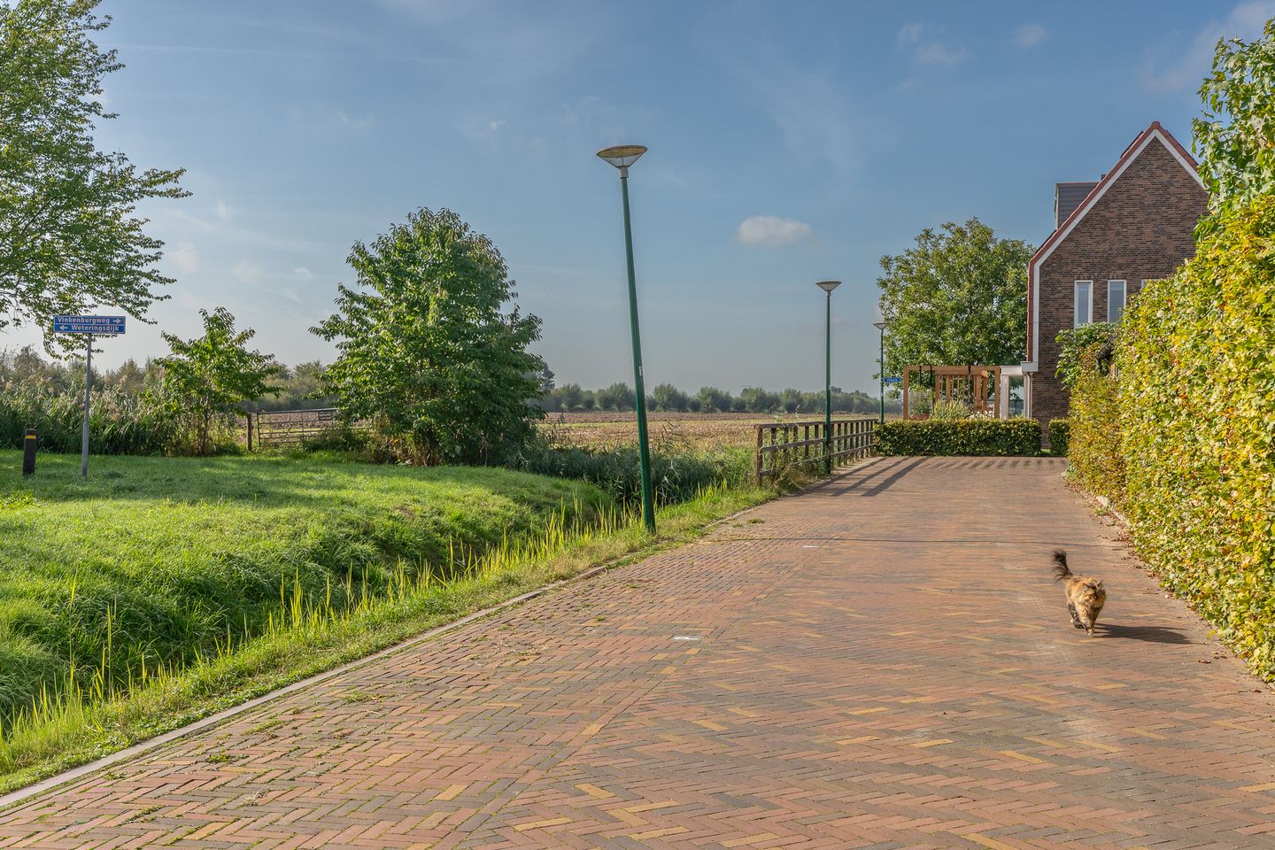 Photo 50 of Nierdolk 4