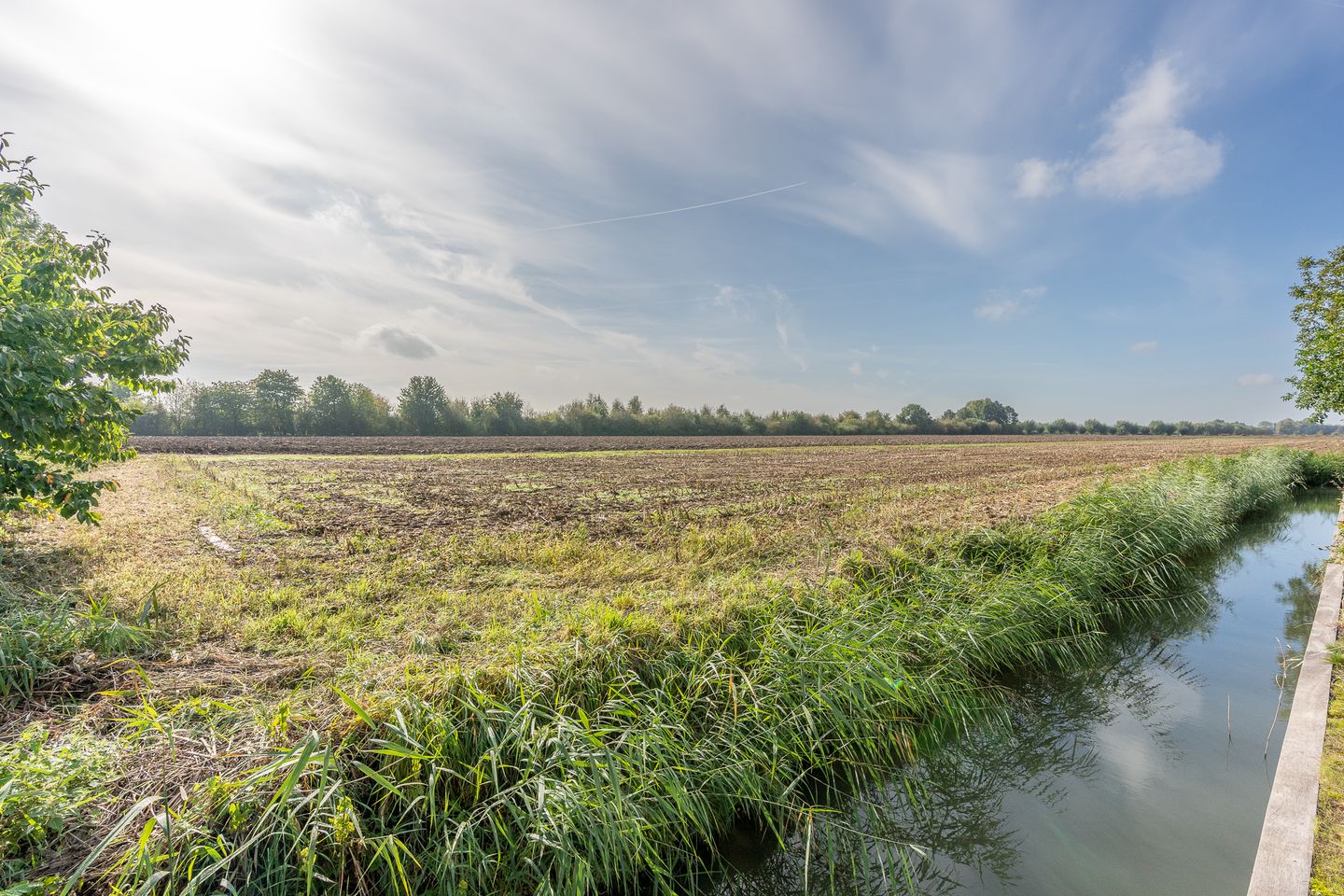 Photo 49 of Nierdolk 4
