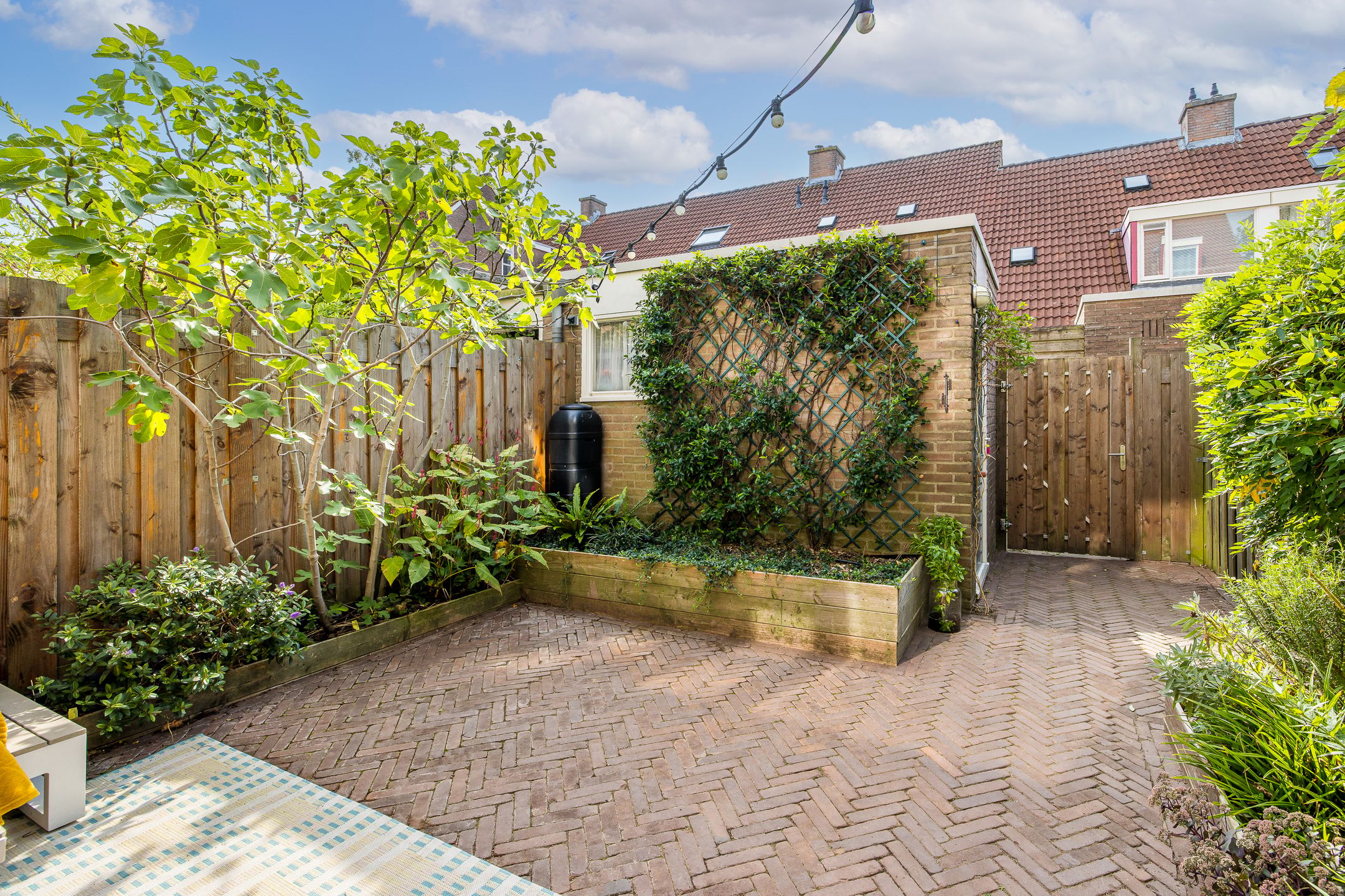 Photo 15 of Waalstraat 26