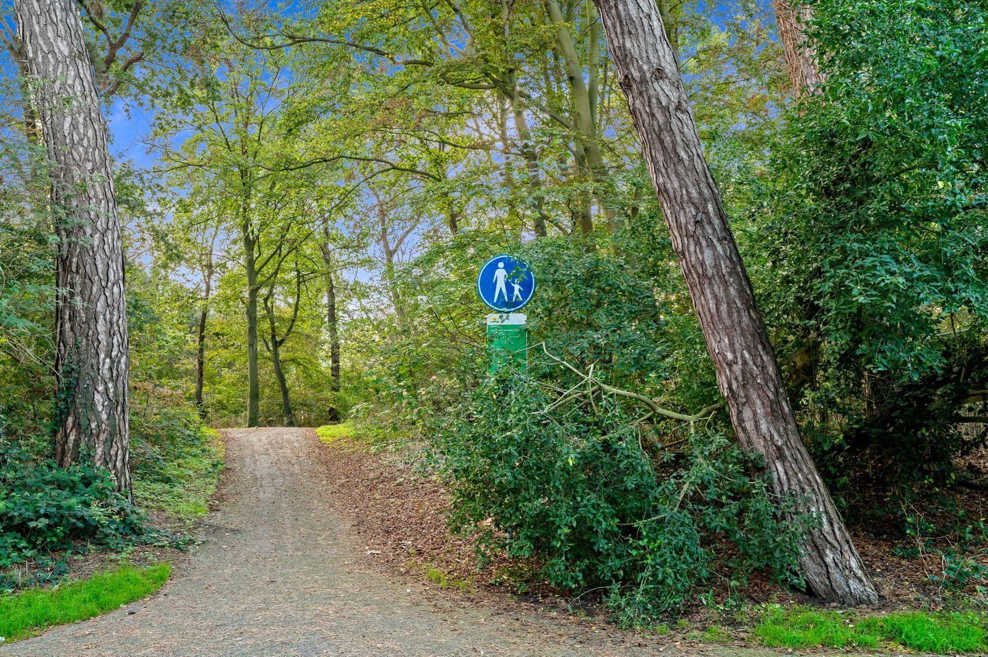 Foto 44 van Frederik Hendriklaan 52-B