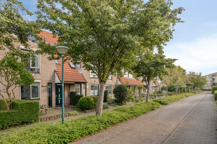 Foto 4 van Helmbloem 20