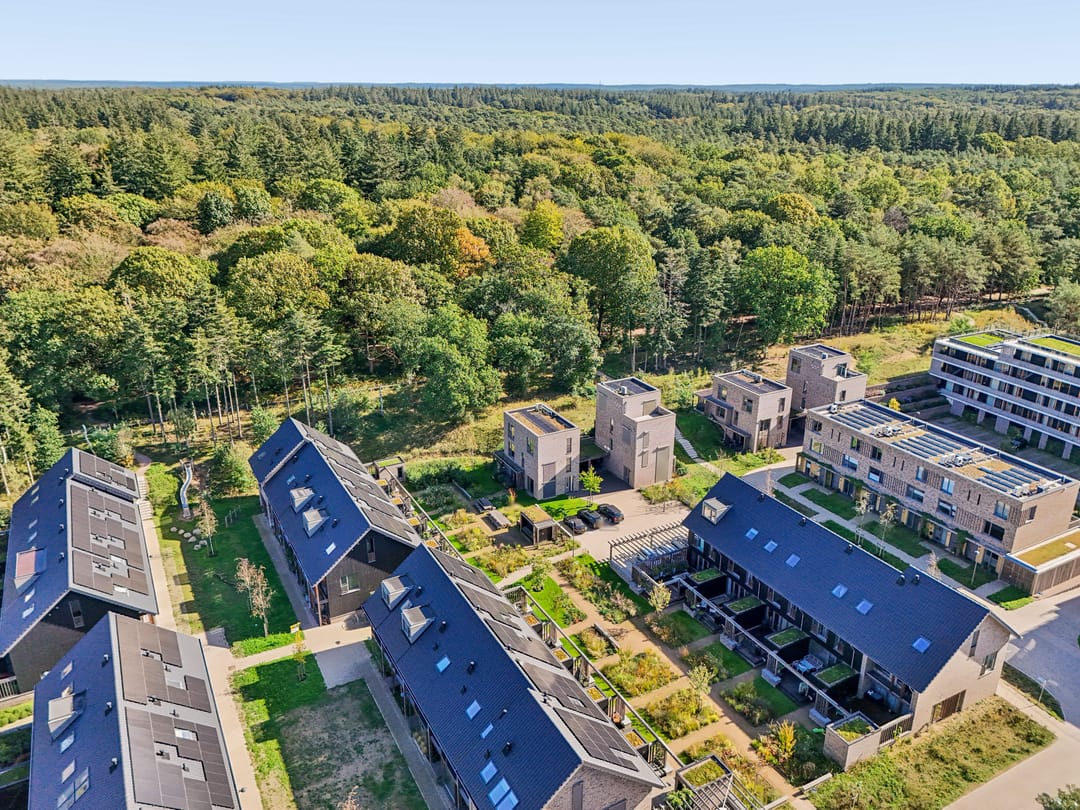 Photo 61 of Bosbeshof 26