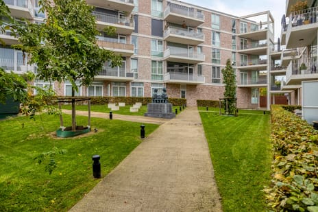 De Cassij thumbnail