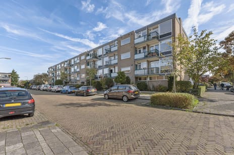 Schaepmanstraat thumbnail
