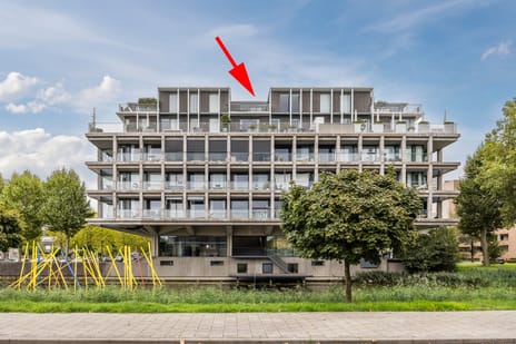 Schubertsingel thumbnail