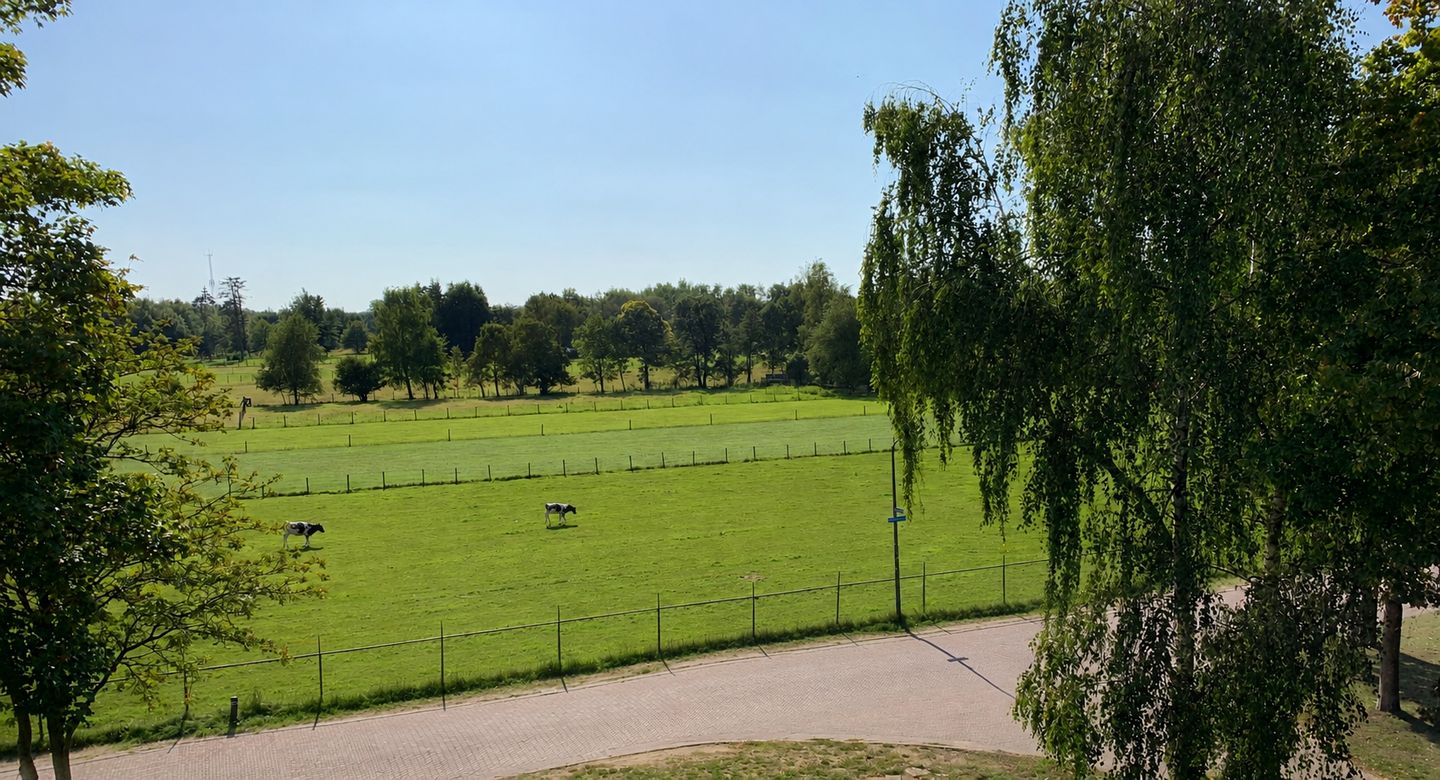 Photo 49 of Elbertsveen 19
