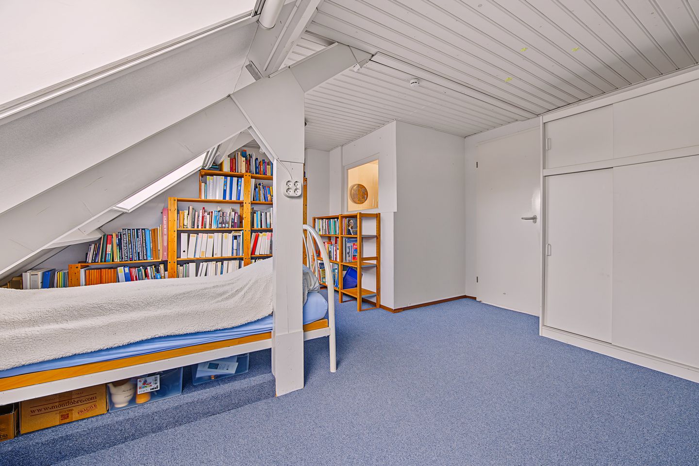 Photo 29 of Schoener 4
