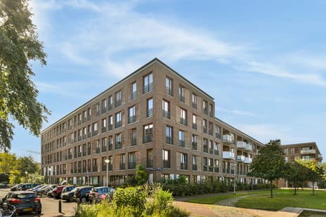 Suze Robertsonstraat thumbnail