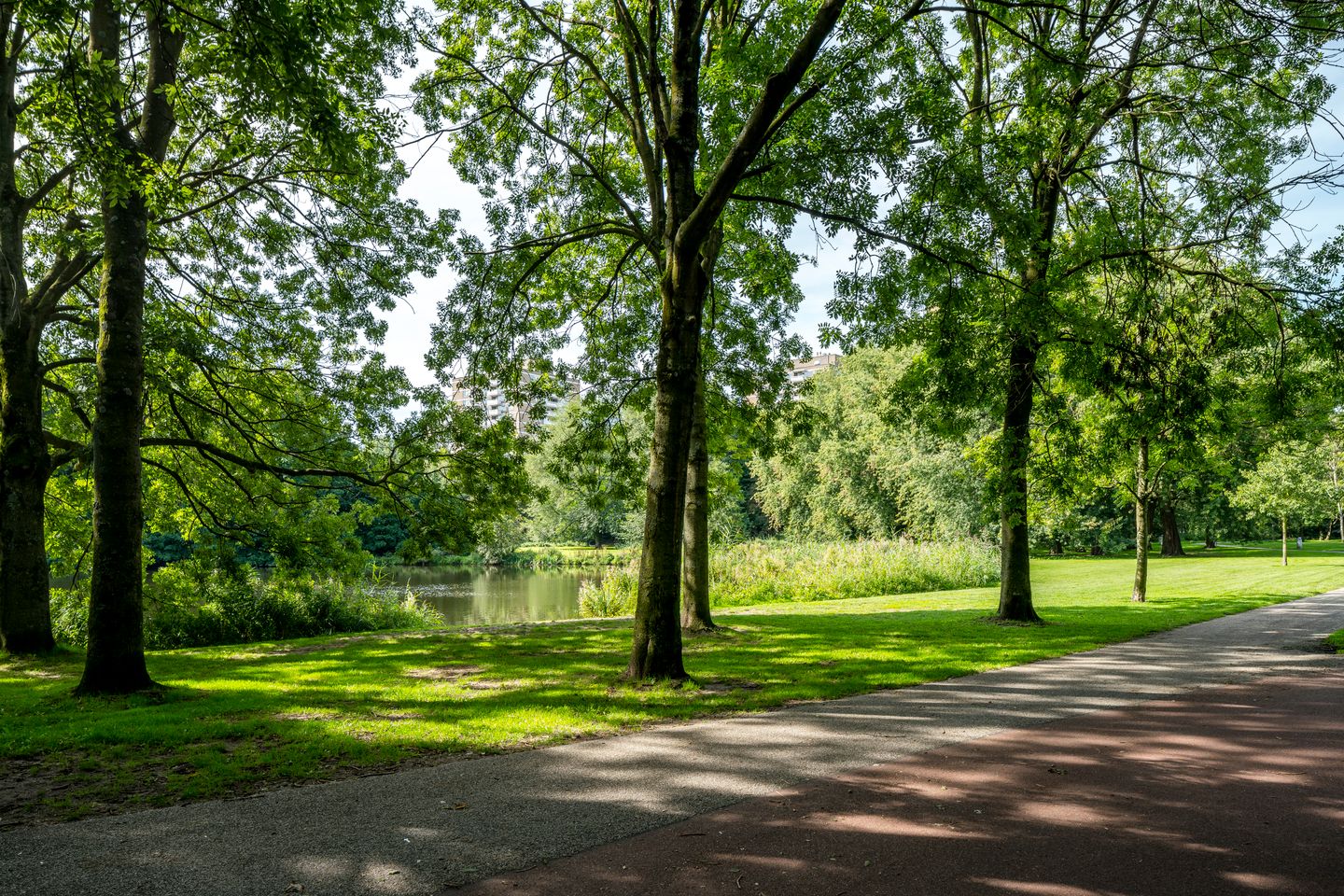 Photo 25 of Bos en Lommerplantsoen 99-M