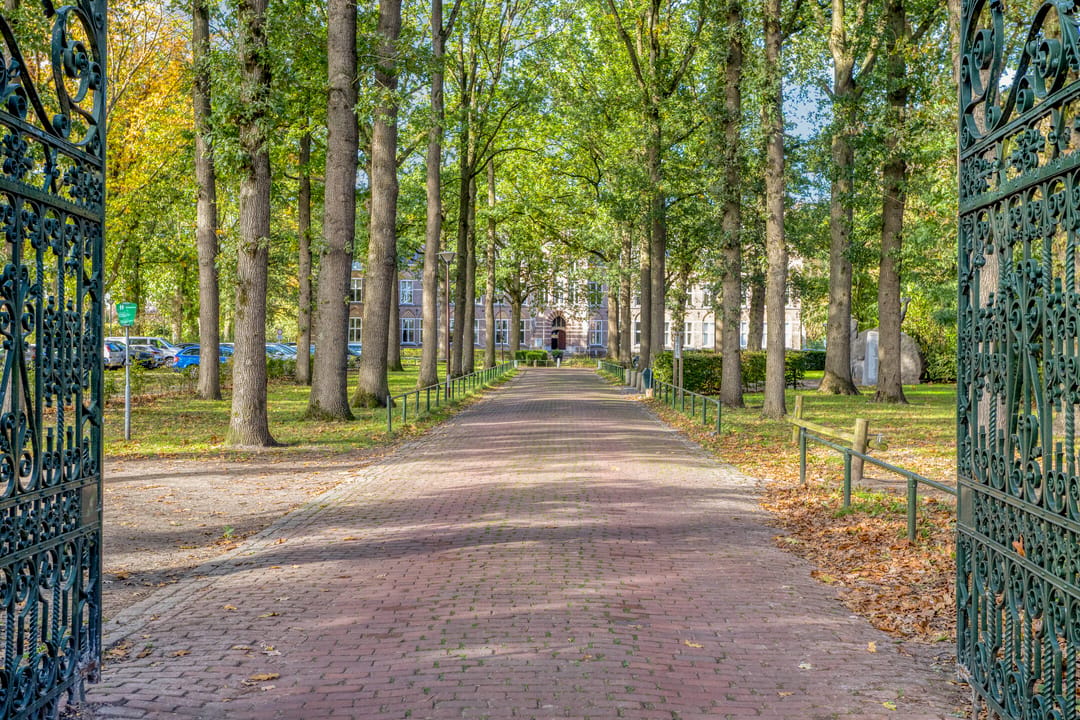 Photo 41 of Bovendonksestraat 33