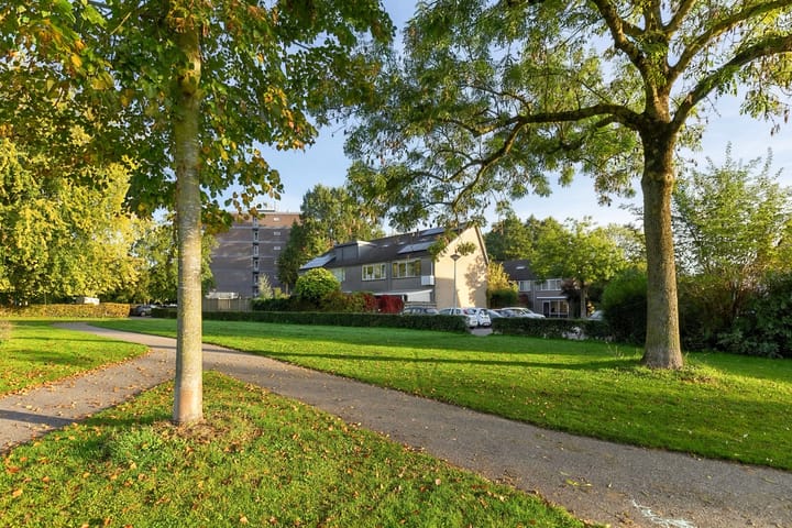 Foto 3 van Hoefblad 53