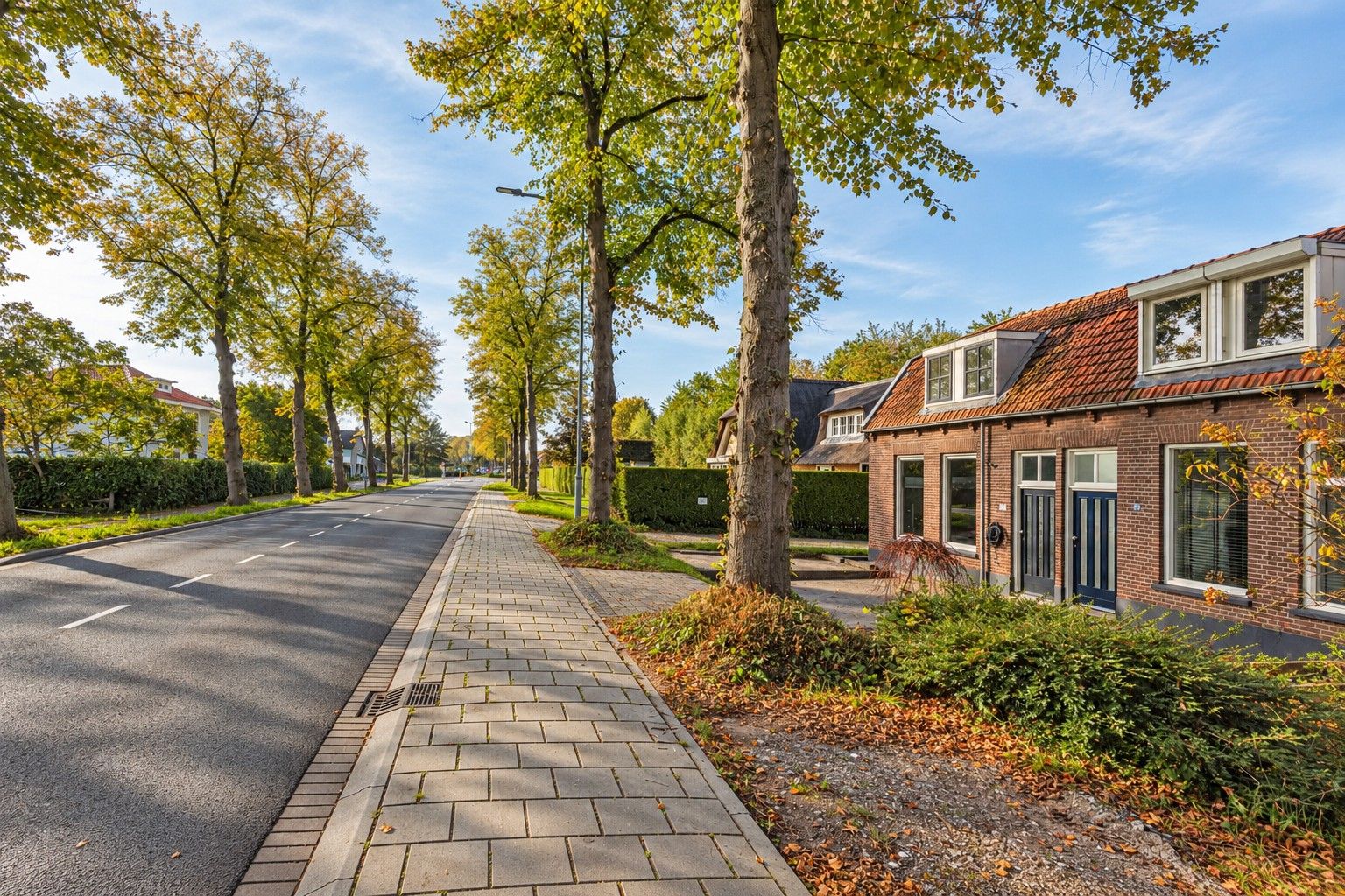 Foto 45 van Steenweg 40