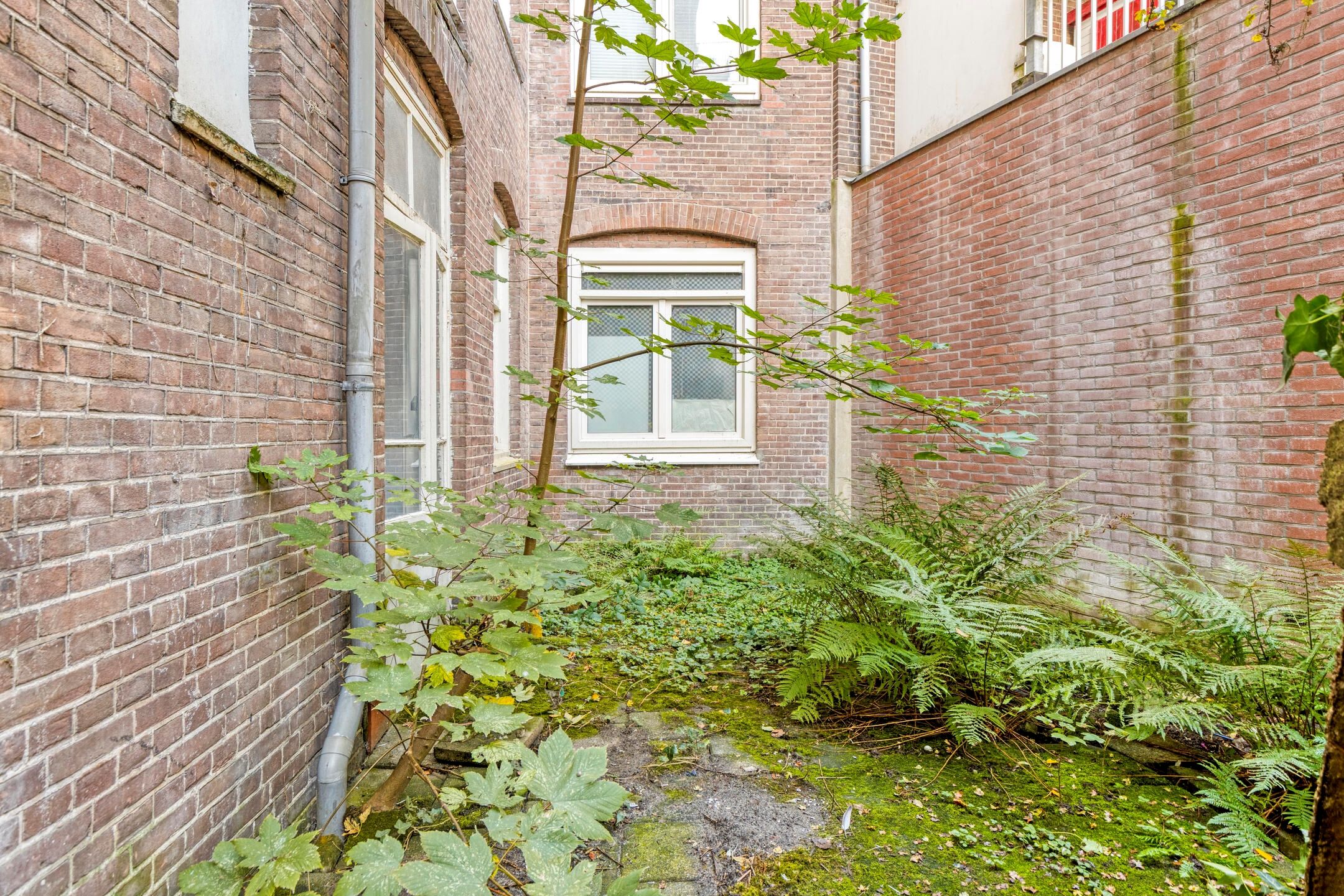Foto 15 van Eerste Ceramstraat 1-1