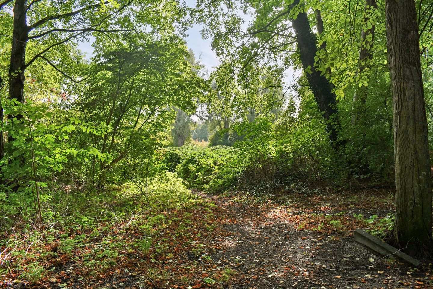Foto 20 van Liendenhof 248