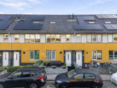 Nicolaas Maesstraat thumbnail
