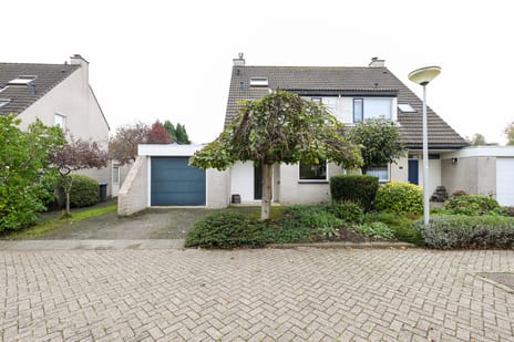 Vlierbessenstraat thumbnail