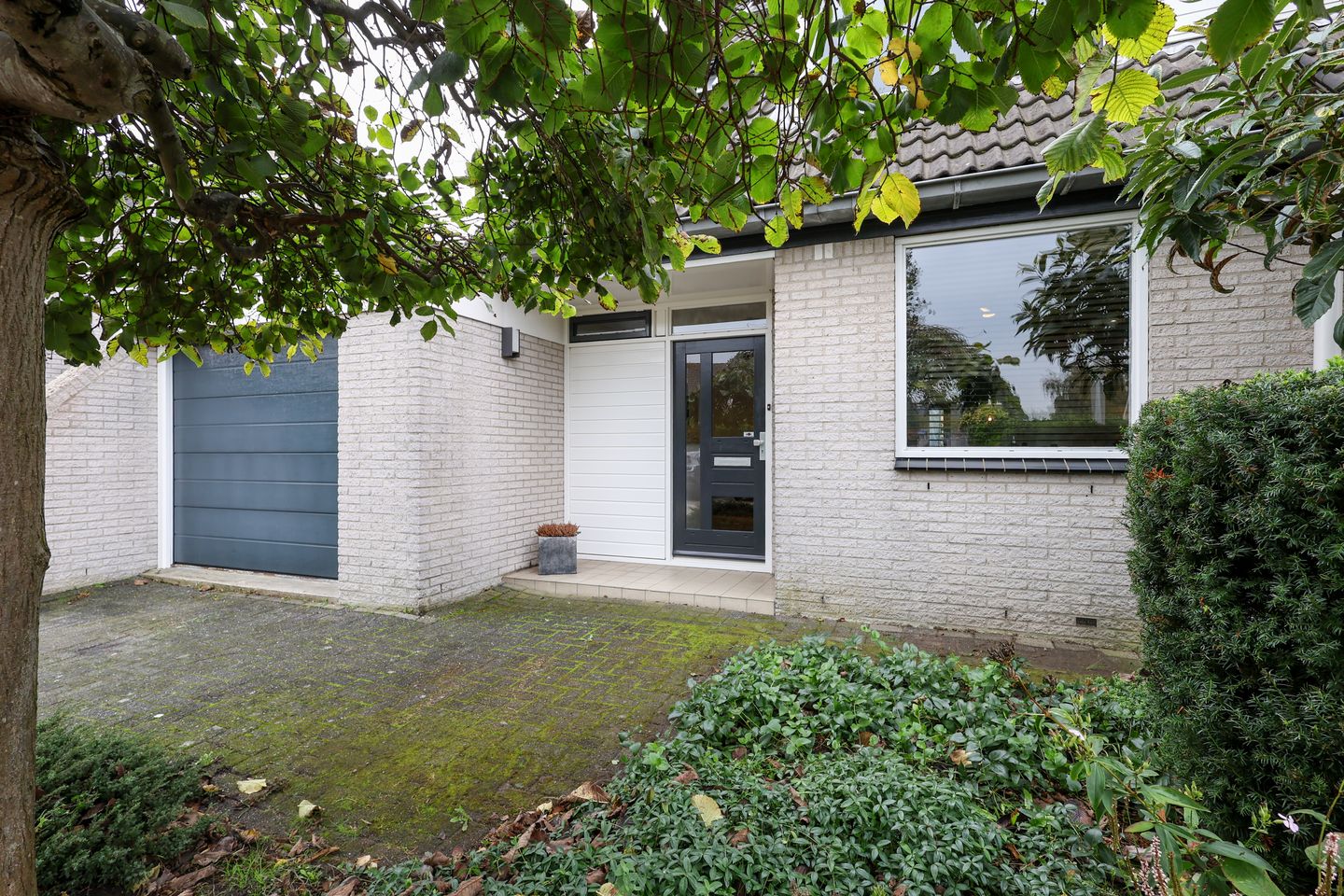 Foto 10 van Vlierbessenstraat 4
